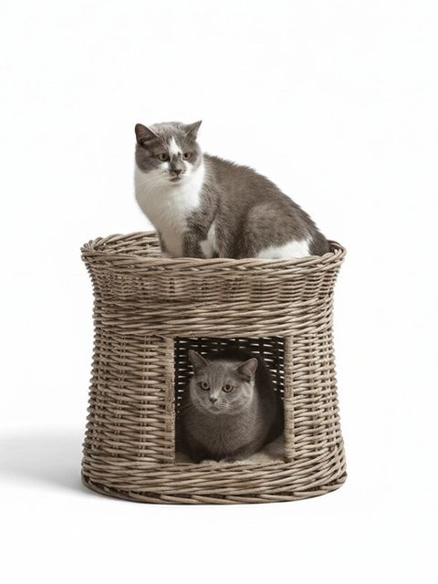 Round Rattan Pet Bunk Bed