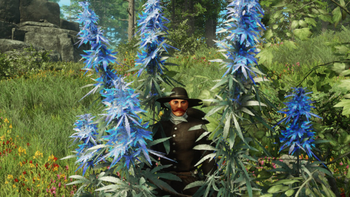 New World player staring through herbs looking stern