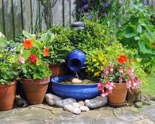 blue bowl water feature with plants in pots