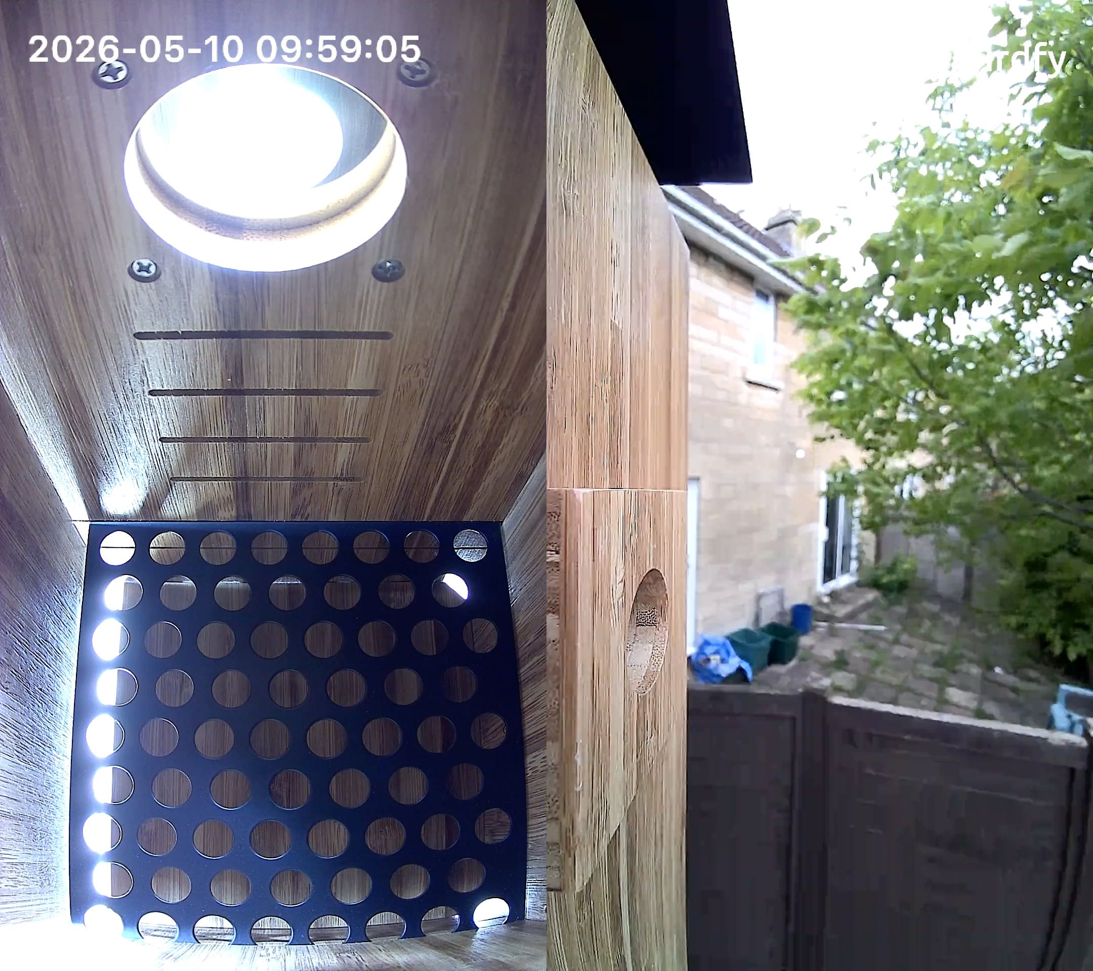 Sample screenshots from the Birdfy Nest Duo