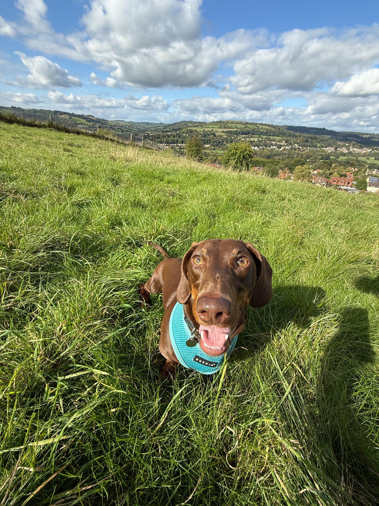 iPhone 16 Pro Ultra wide angle