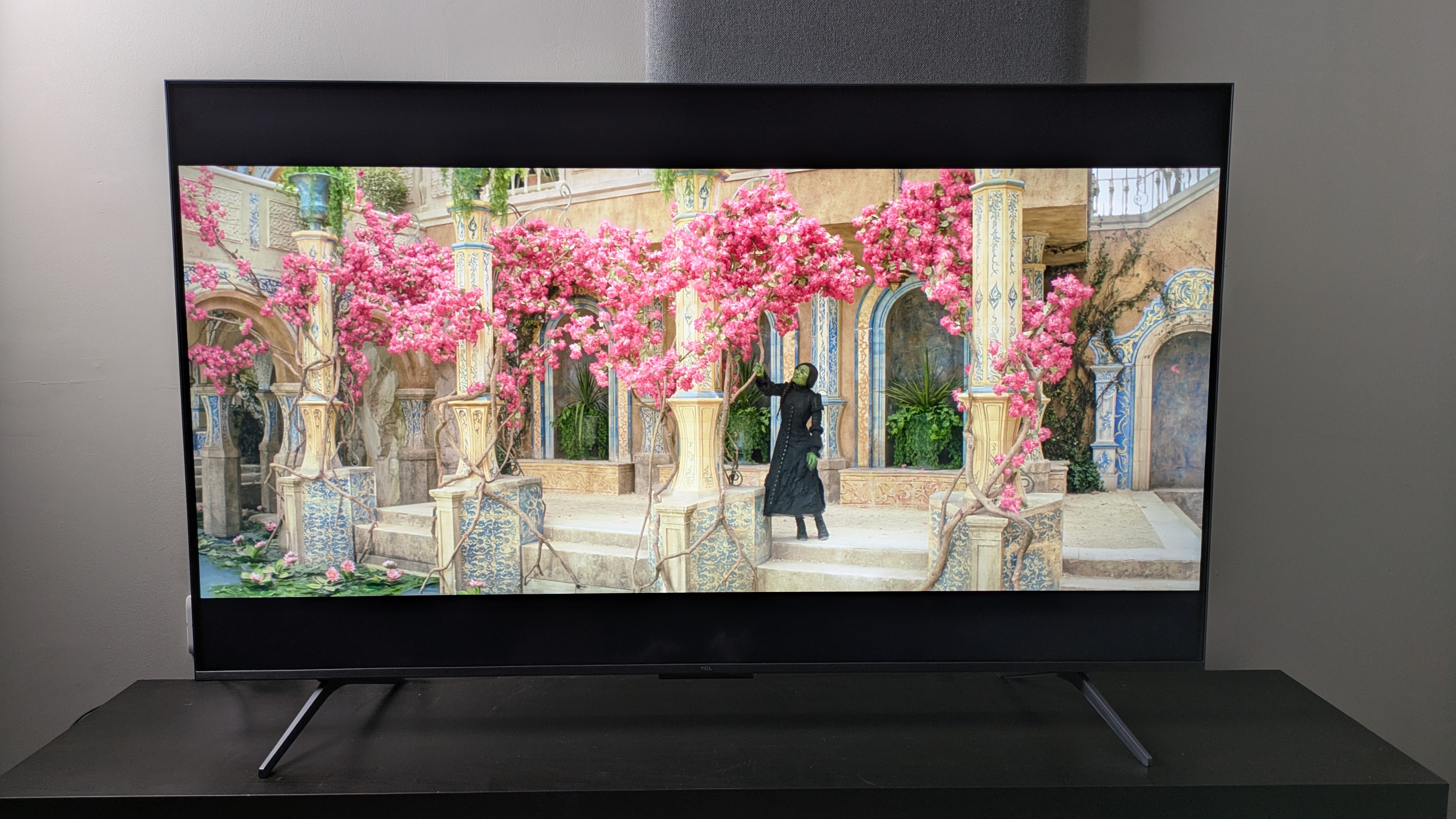 TCL C6K with scene from Wicked featuring Elphaba by some pink flowers on screen