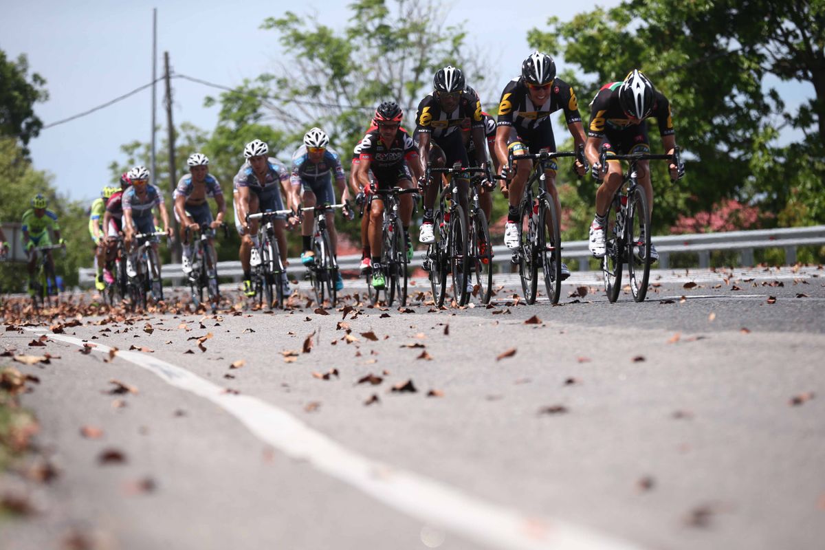 MTN-Qhubeka chase down the escapees