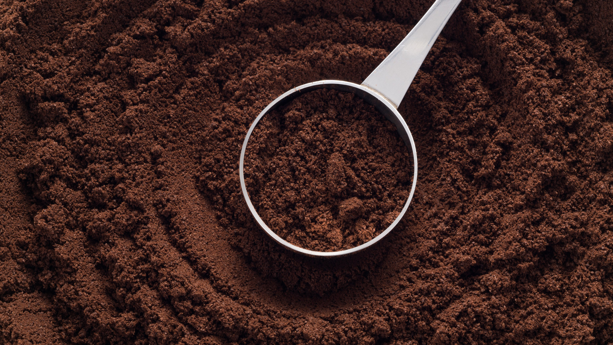 A scoop of ground coffee