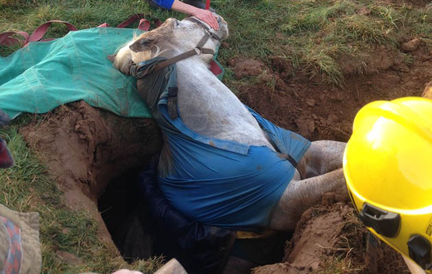 trappedsinkhole.jpg
