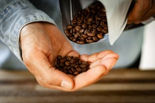 A close up of a man holding some coffee beans.