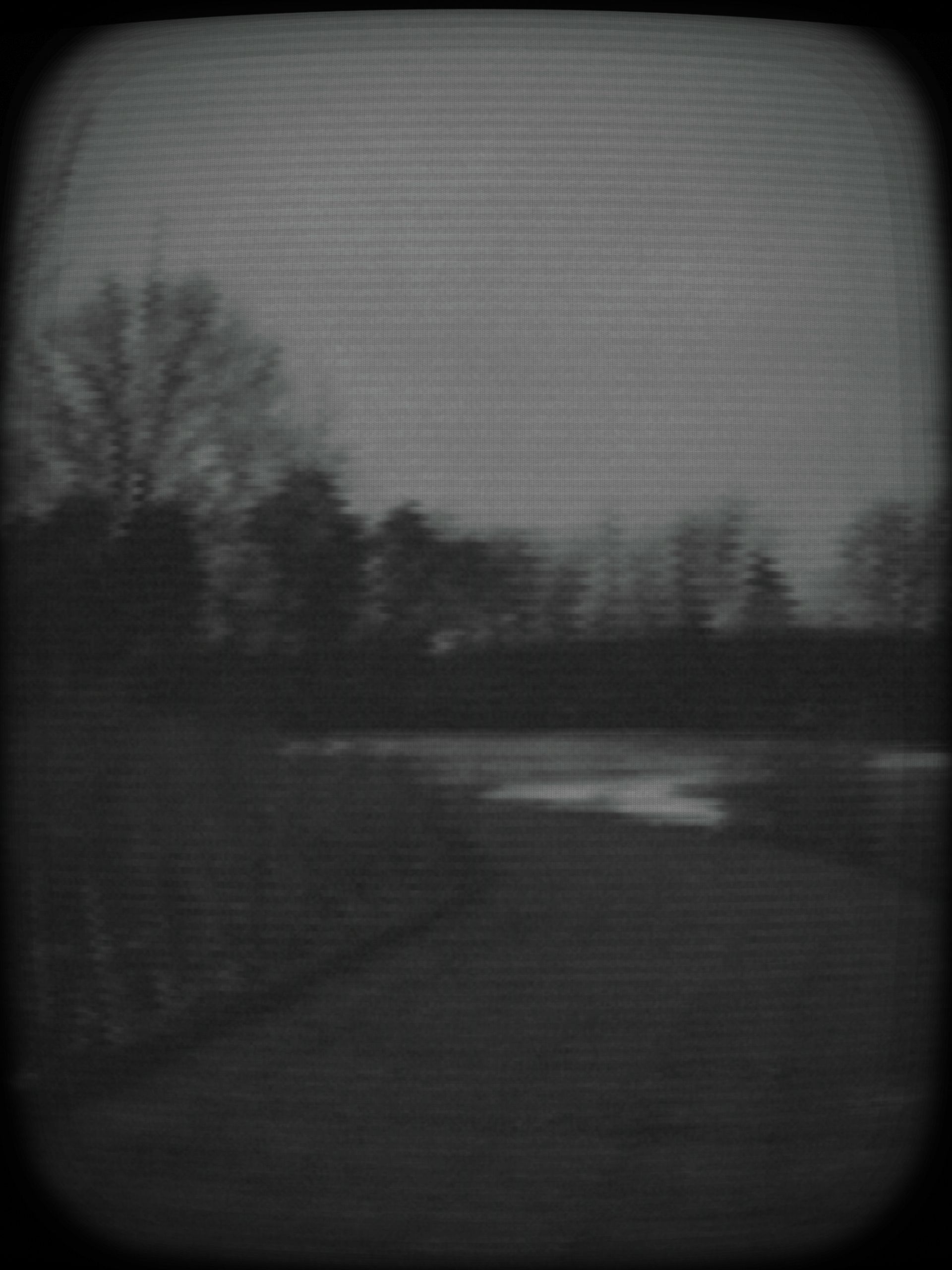 A photo taken with the Fujifilm Instax Mini Eco Cinema decade camera