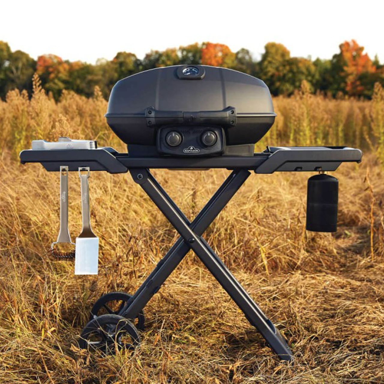 Napoleon TravelQ in grassy field with utensils 