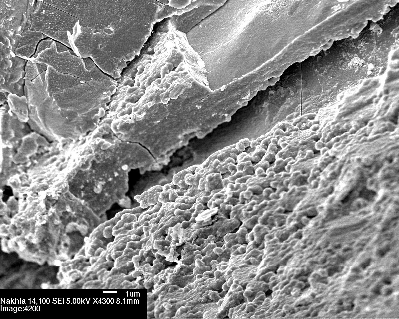 Martian meteorite Nakhla