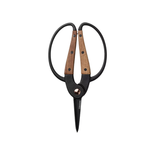 A pair of gardening scissors