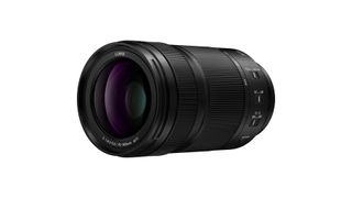 Best telephoto lenses: Panasonic LUMIX S 70-300mm F4.5-5.6 MACRO O.I.S.