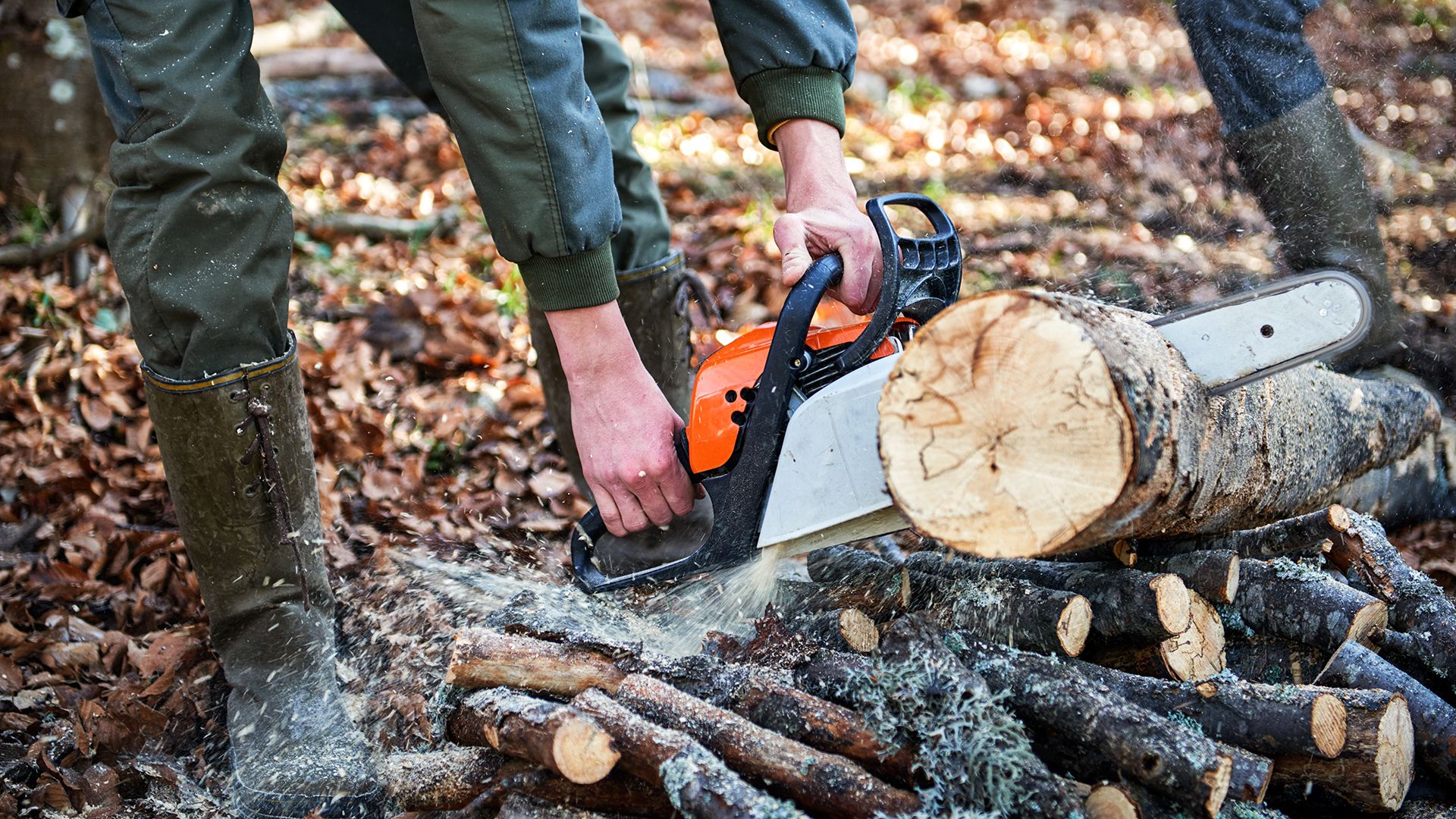 What to do if your chainsaw won