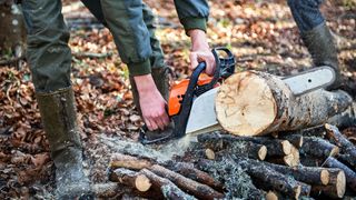 Man wearing protective outdoor gear using a chainsaw to cut through a tree trunk.