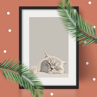 cat portrait pet present