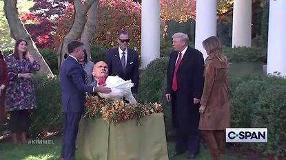 Trump pardons a turkey