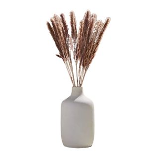 A vase of pampass grass
