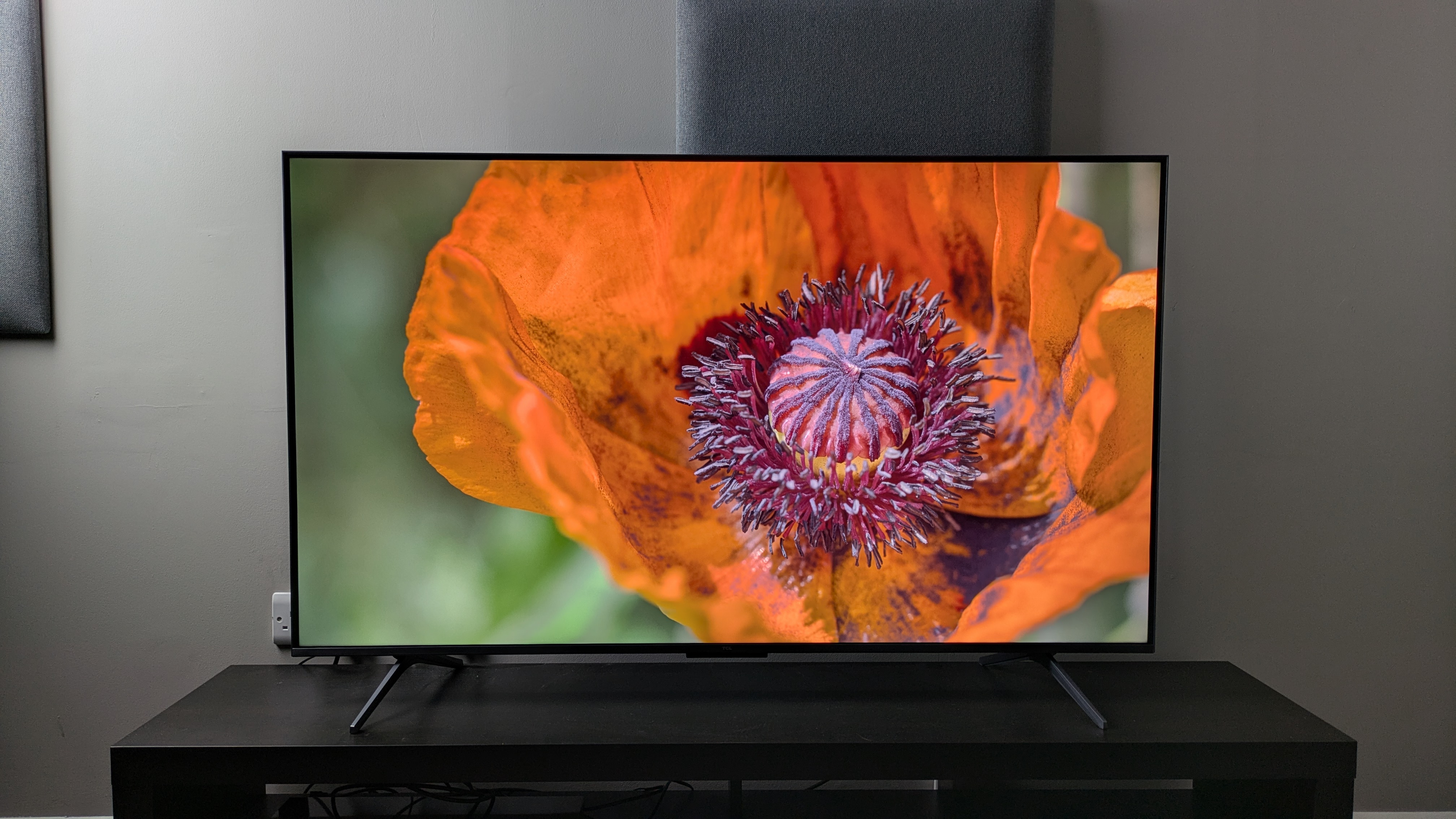 TCL C6K with orange flower on screen