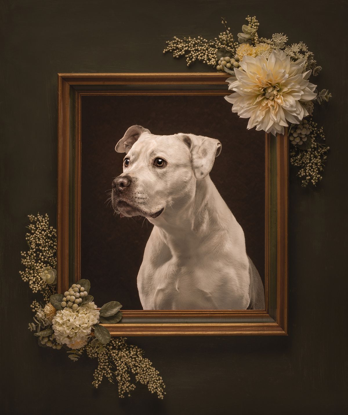 A regal white dog with a gentle expression is framed by a vintage gold frame adorned with soft floral decor