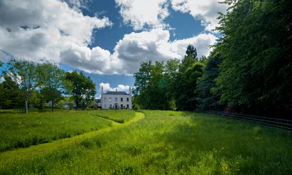 The garden at Danesmoate, near Dublin — the home of Mr Adam Clayton. The 18th-century house may have been a rustic retreat or hunting lodge. ©Jonathan Hession