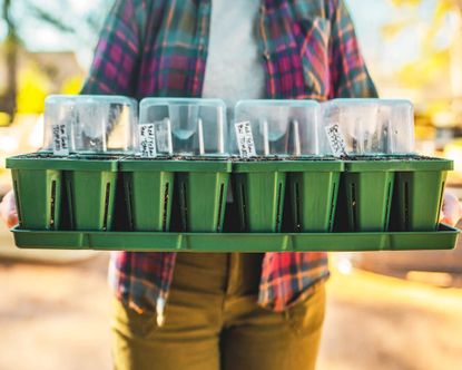 8 Herb Gift Ideas That Will Inspire Foodies And Green Thumbs