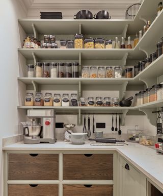 A walk-in pantry with sage green open shelves is packed with carefully selected jars and containers.There is also a drawer at the bottom