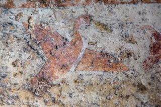 A colorful pelican was drawn on the wall of a 4,000-year-old tomb at Beni Hassan in Egypt.