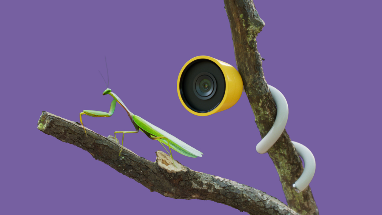 15 future tech innovations that are here today: the weird and wonderful best of CES 2025