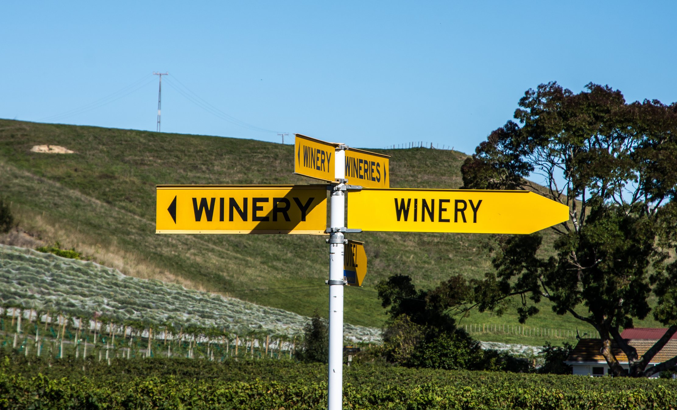 A road sign in the Hawkes Bay, New Zealand showing that there are wineries in each direction.