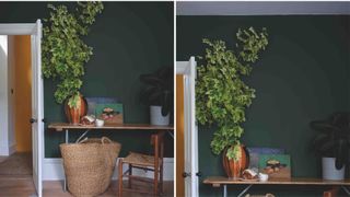 hallway with wood console table, chair and basket with green walls and plants