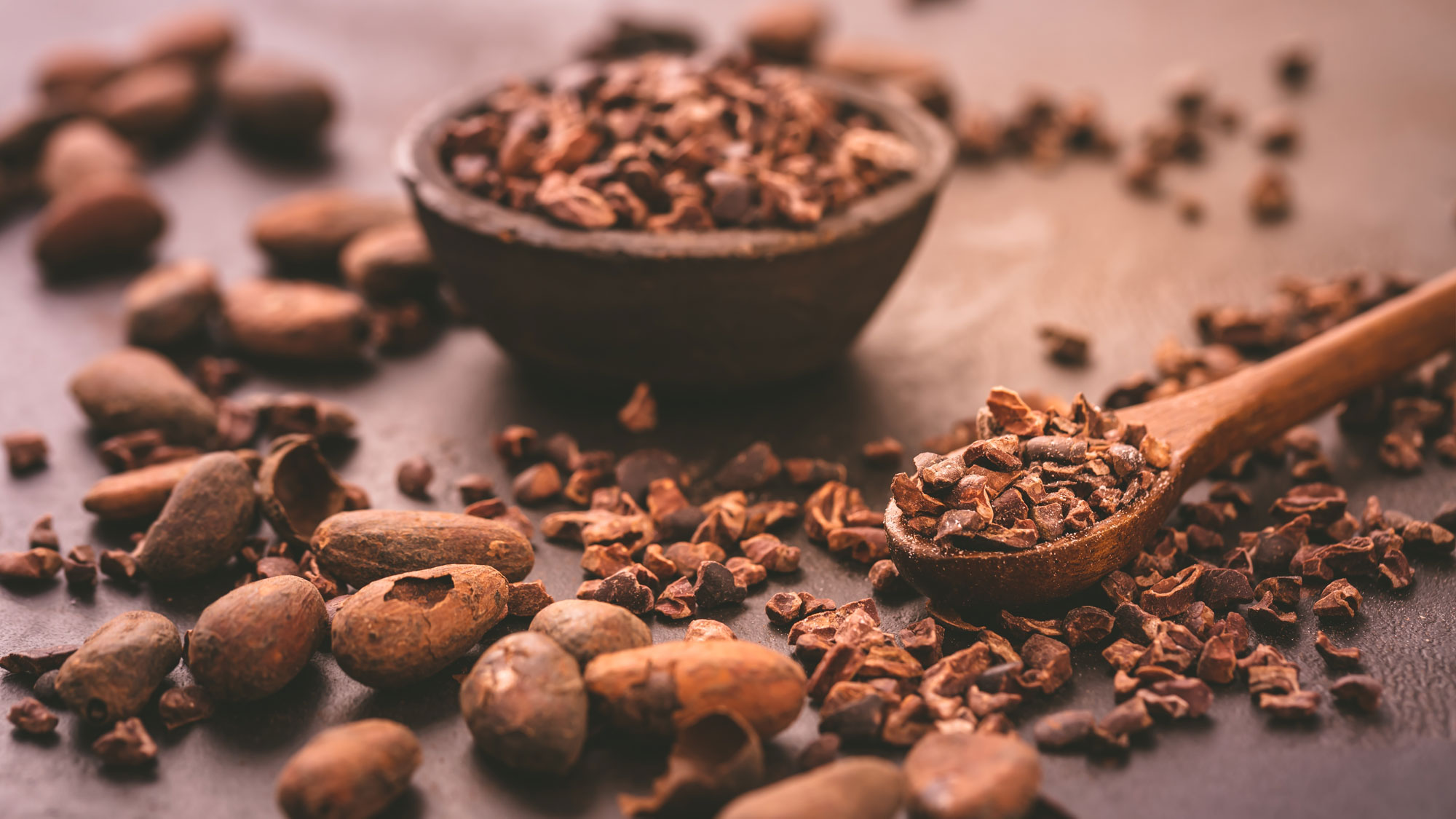 cocoa beans and crushed cocoa on spatula and in bowl