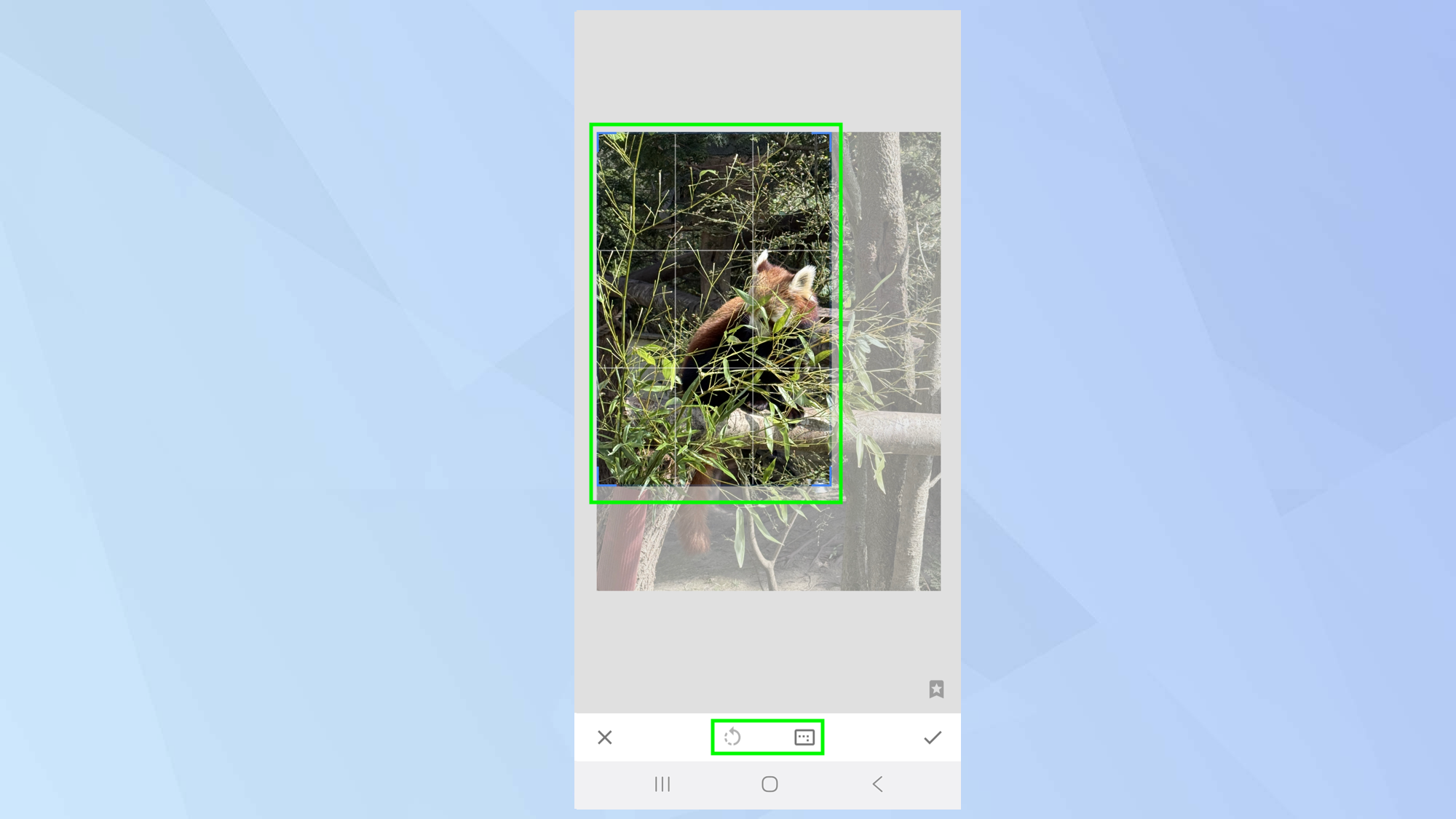How to use Snapseed – Google’s free photo editing app
