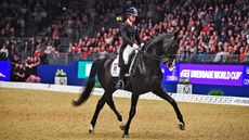 guide to london international horse show