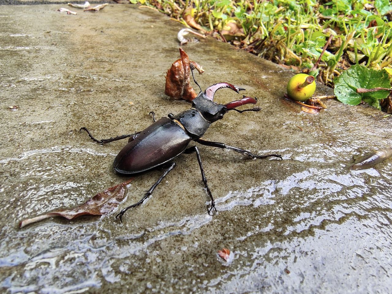 Motorola Edge 70 Fusion sample images