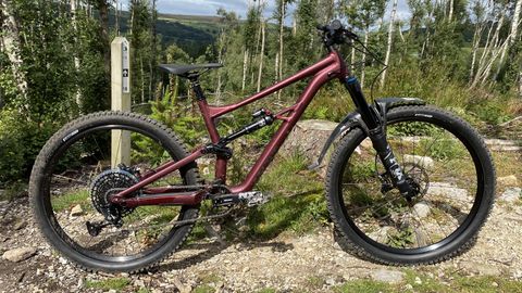 mountain bike specialized 2021