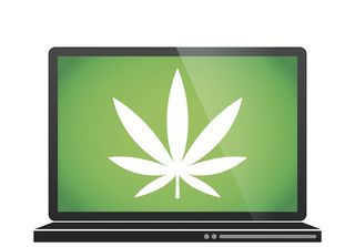 marijuana on computer screen