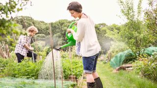 Woman watering plants at allotment