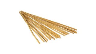 GROW!T bamboo stakes