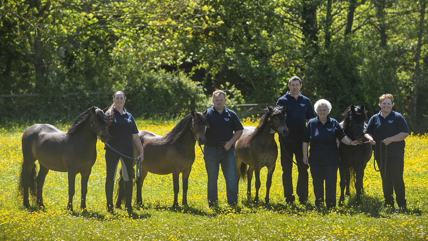 the newoak stud has 20 ponies donning their prefix heading to the 2024 RIHS final