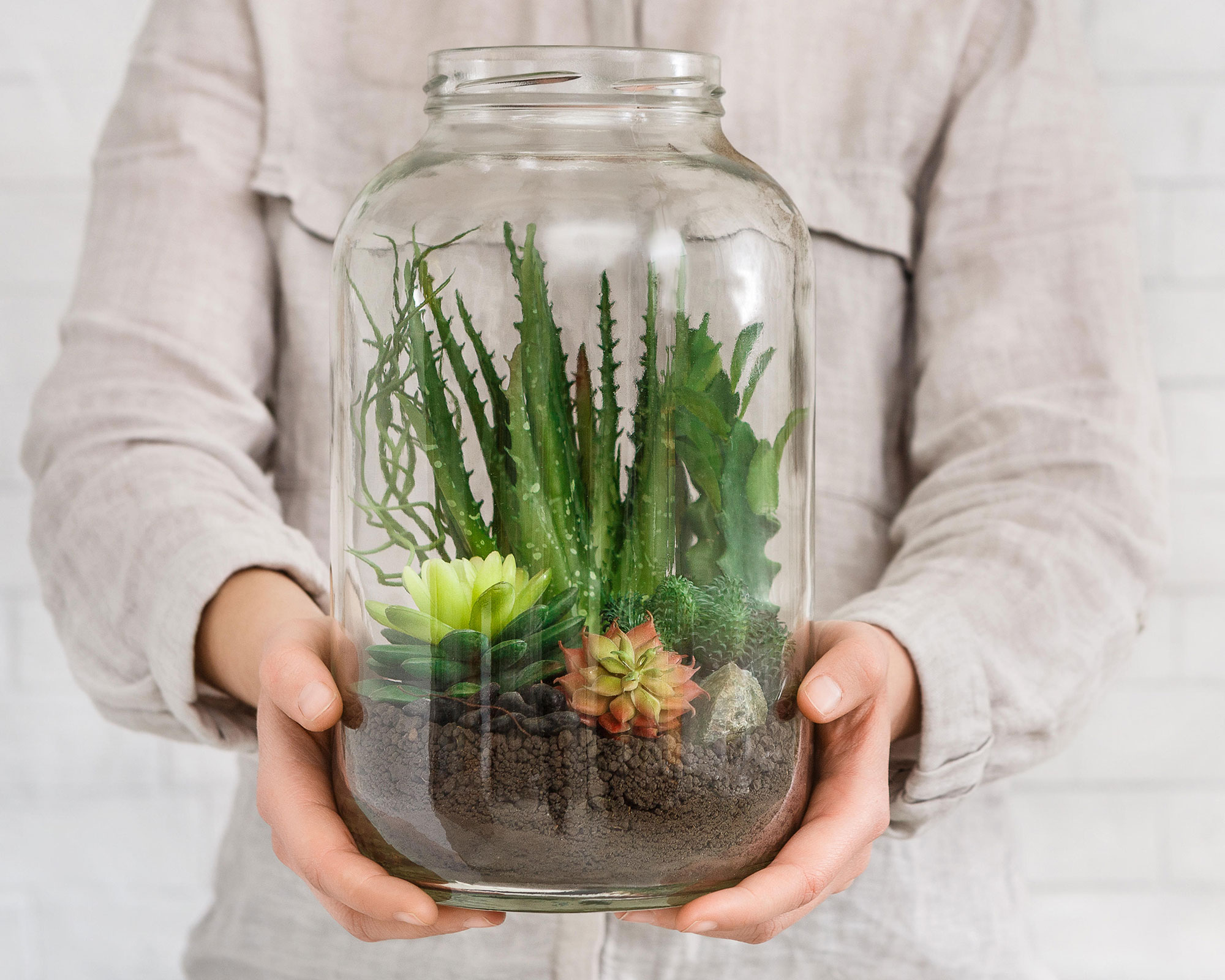 How to make a terrarium in 5 simple steps Gardeningetc