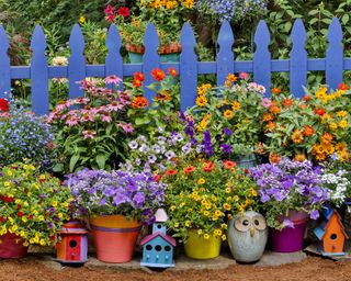 Riot of color in containers and garden ornaments