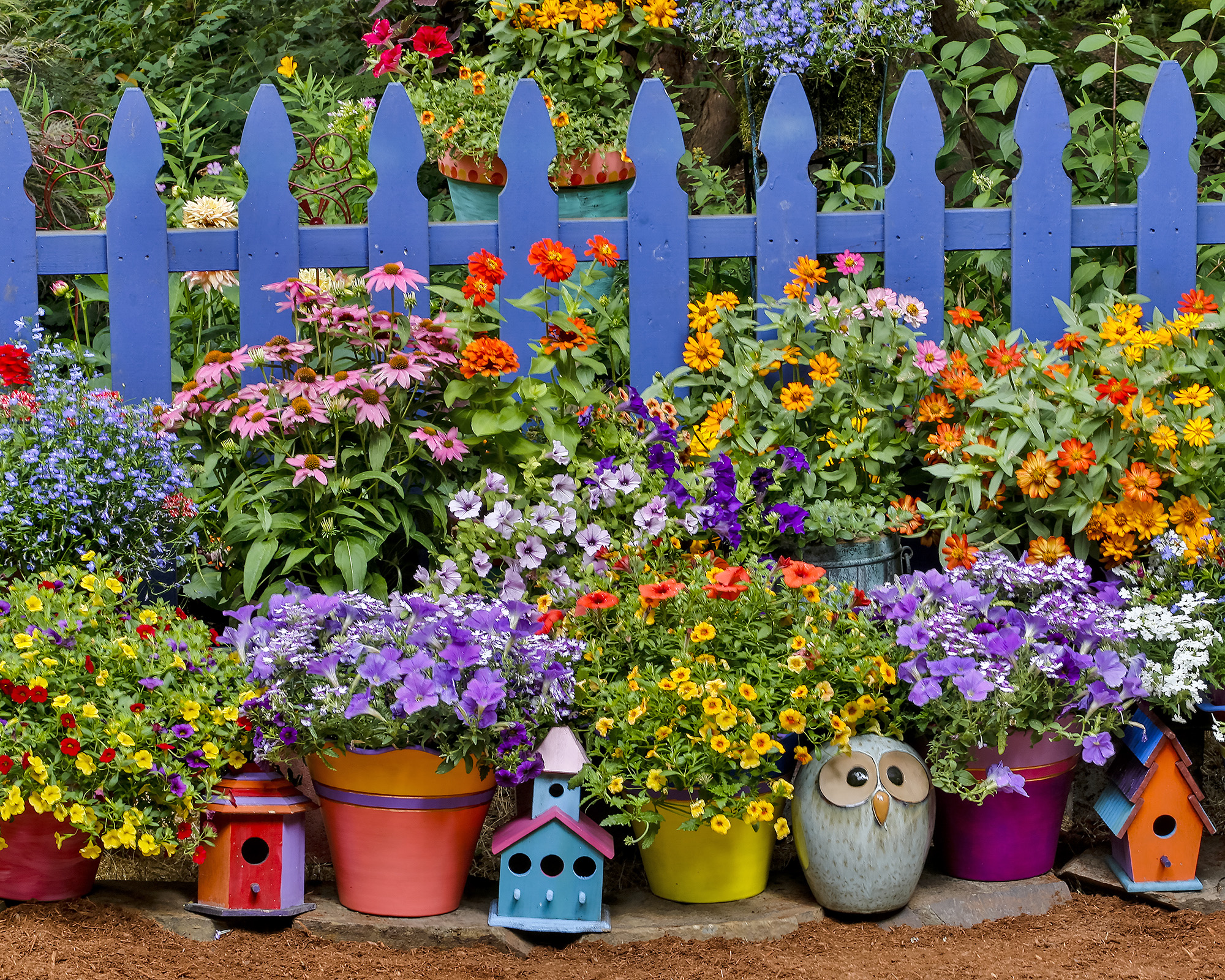 7 Things That Make A Garden Look 