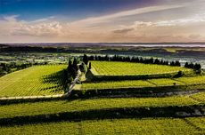 la poja wine, allegrini