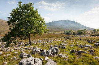 Ingleborough hill North Yorkshire England UK