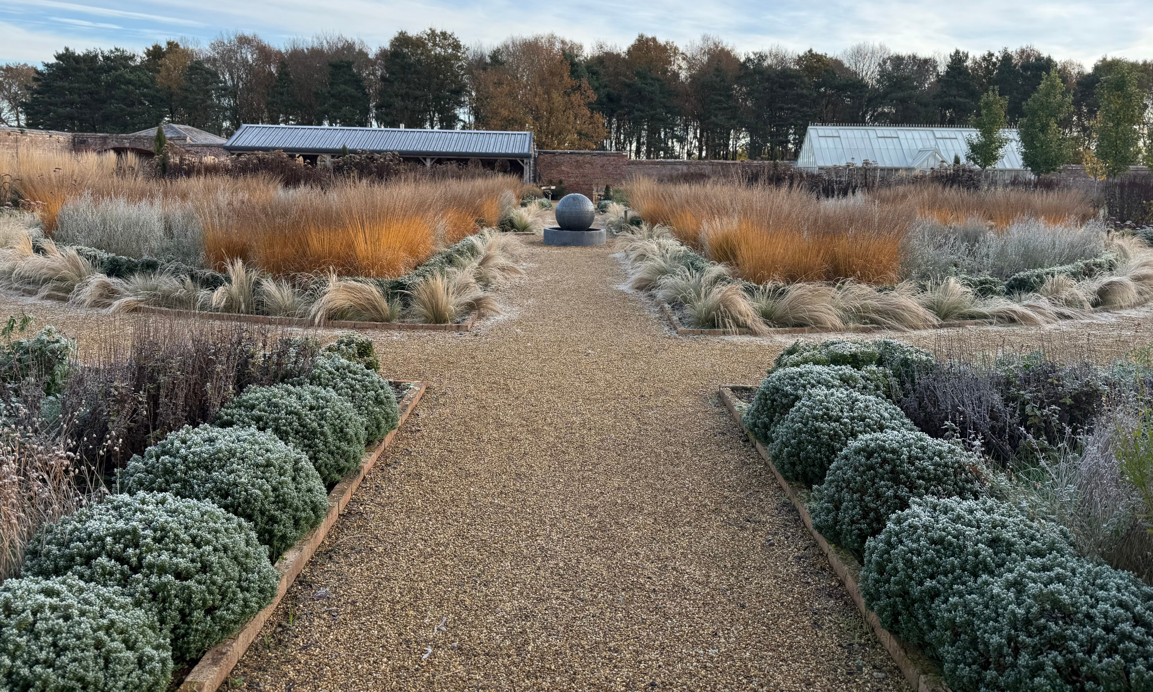 Box shrubs and grasses covered in frost, bordering gravel path