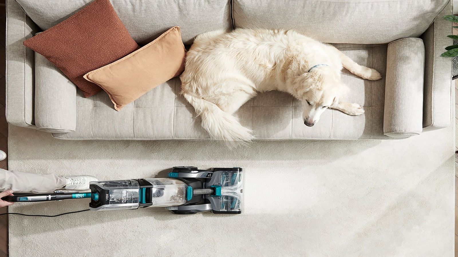 Vax Platinum SmartWash PetDesign Carpet Washer review we try the new