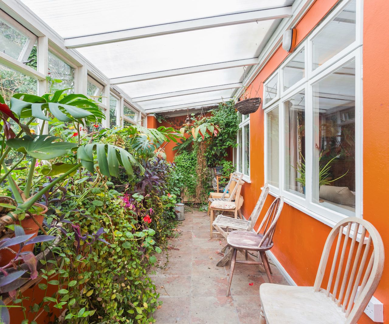 A garden room with an orange wall and a lot of indoor plants
