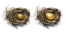 Two nests, each with a gold egg, representing a nest egg.
