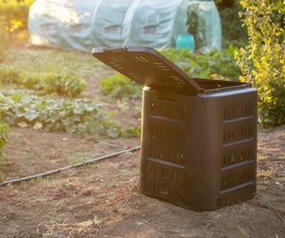 Plastic compost bin sits in garden