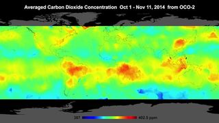 carbon concentrations around the world