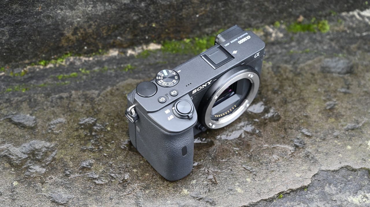 Sony A6600